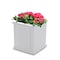 Mayne Cape Cod Patio Planter 16x16 - White 4837-W - alternate 4